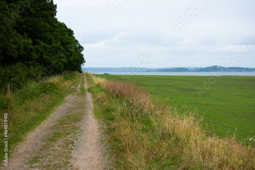 Gravel road by a grass field.