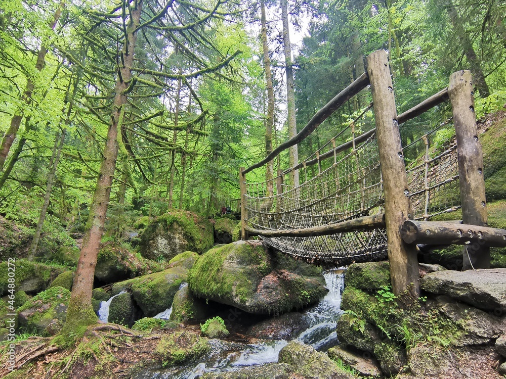 Moss covered rocks and a bridge at Gertelsbacher Waterfalls Moss covered rocks and a bridge at Gertelsbacher Waterfalls