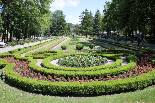 Wallpaper Mural flowerbed Torontodigital.ca