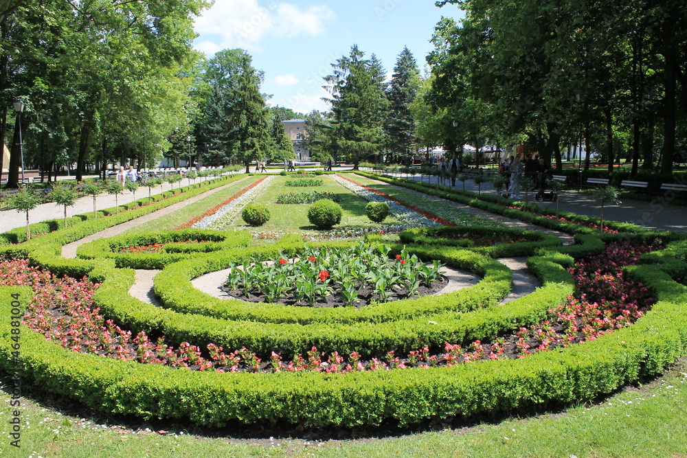 flowerbed flowerbed