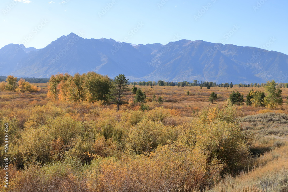 Teton Valley Fall colors in late September, Grand Teton National Park, Wyoming