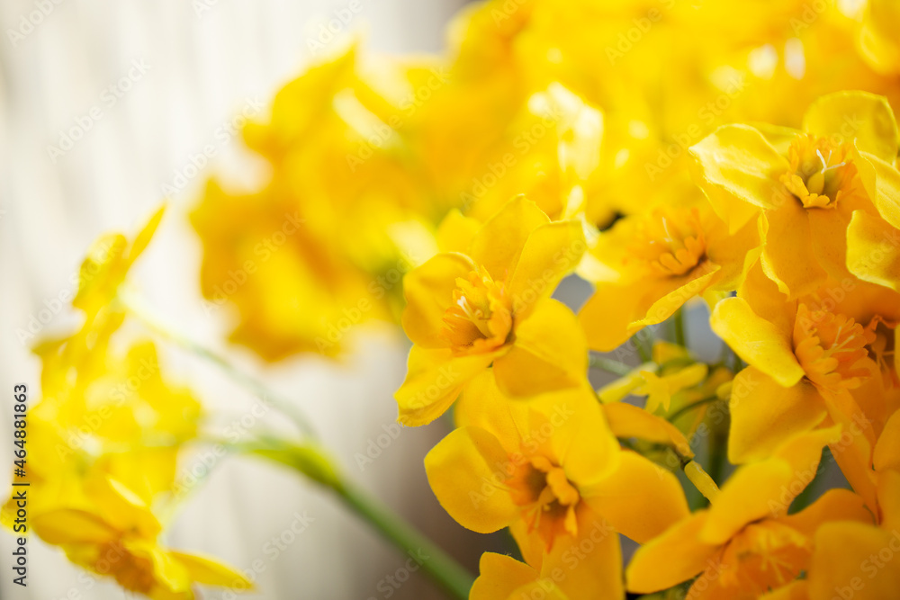 Obraz premium A closeup view of fake plastic yellow flowers as background decor.