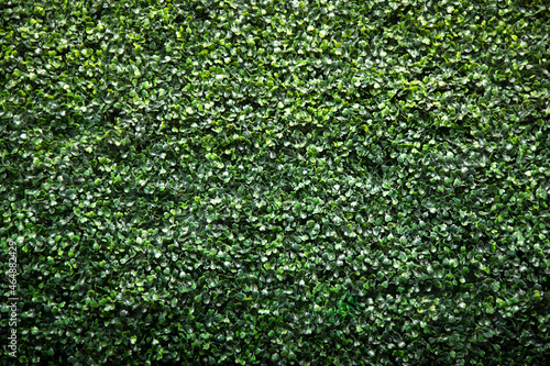 A view of a faux shrub wall facade, as a background. photo