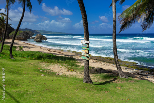 Caribbean beach with beautiful blue water and some fluffy white clouds