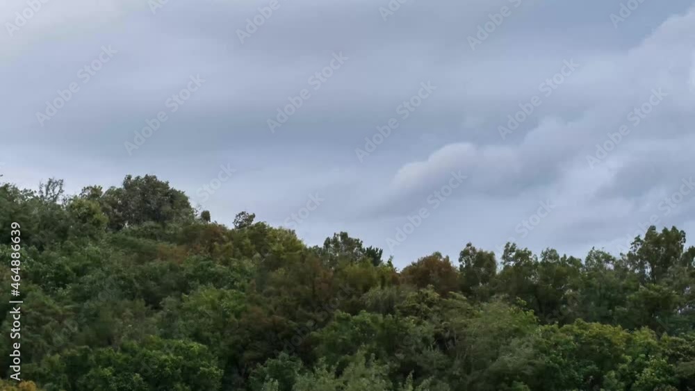 Dancing trees and flowing clouds Timelabs FHD Dancing trees and flowing clouds Timelabs FHD