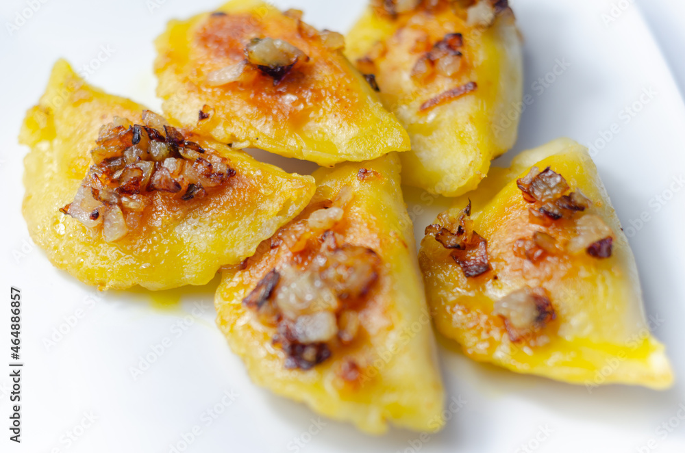 Fried dumplings sprinkled with fried onion, traditional Polish, Russian and Ukrainian cuisine Fried dumplings sprinkled with fried onion, traditional Polish, Russian and Ukrainian cuisine