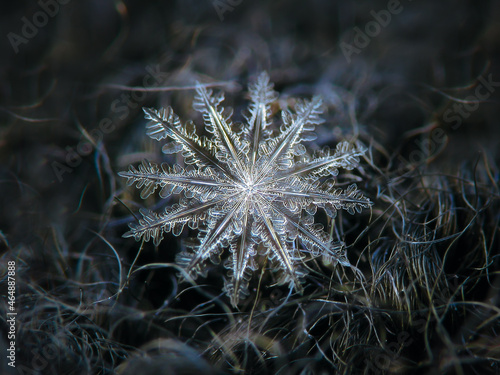 Snowflake glowing on dark textured background. Macro photo of real snow crystal  double stellar dendrite with hexagonal symmetry  twelve sharp arms  glossy 3D surface and complex inner details.