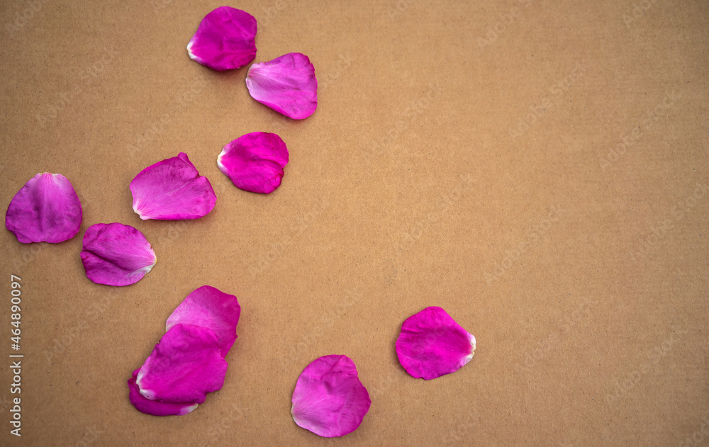 Pink flower petals on a sheet of craft cardboard. Romantic background for a postcard. Birthday greetings.Aromatherapy. Pink flower petals on a sheet of craft cardboard. Romantic background for a postcard. Birthday greetings.Aromatherapy.