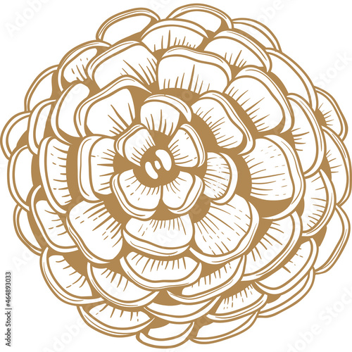 Pine cone golden engraving Isolated