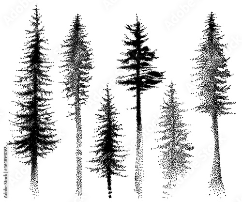 Set of dotted fir and pine forest trees in black isolated on white background.