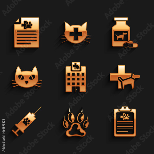 Set Veterinary medicine hospital, Paw print, Clinical record pet, clinic, Syringe with vaccine and Cat icon. Vector
