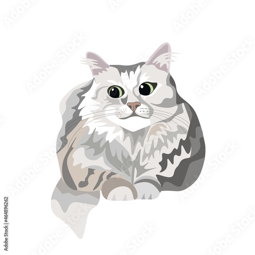 A gray cat with green eyes is drawn in realism, image graphics