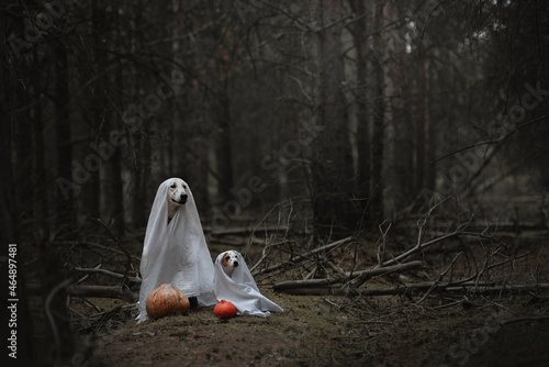 ghosts with pumpkins in the forest halloween
