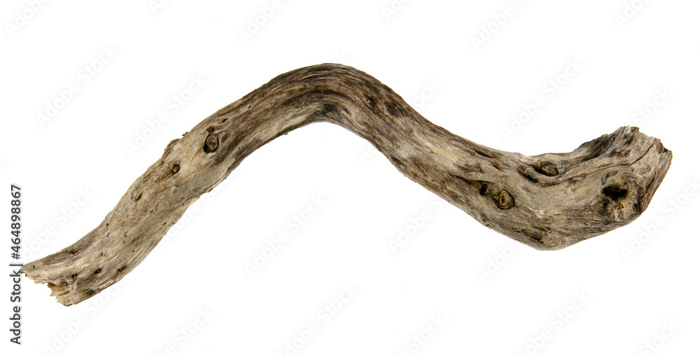 Piece of driftwood isolated on white background
