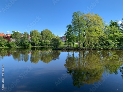 Fototapeta Naklejka Na Ścianę i Meble -  lake in the park, perfect reflection