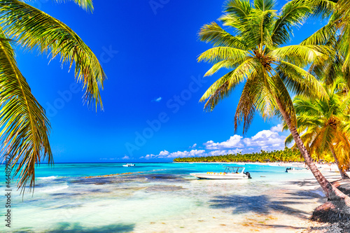 Palm trees on the caribbean tropical beach. Saona Island  Dominican Republic. Vacation travel background
