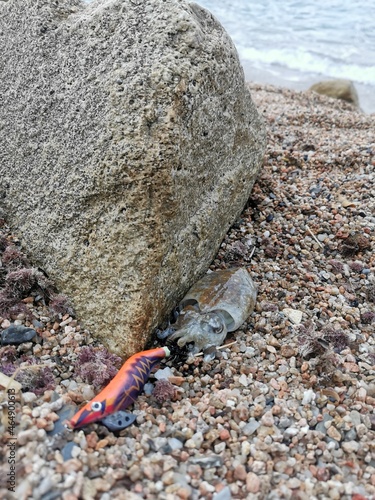 Obraz na płótnie Egging pesca w salonie