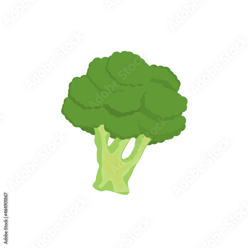 Obraz na płótnie broccoli. Vegetarianism and organic food concept w salonie