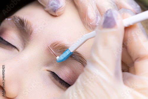 macro photography of the distribution of eyebrow hairs using a brush for laying out before the eyebrow lamination procedure