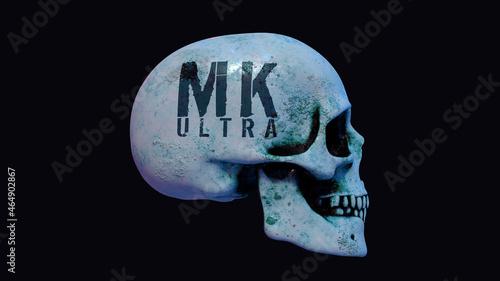 Totenschädel / Totenkopf mit Aufschrift 
