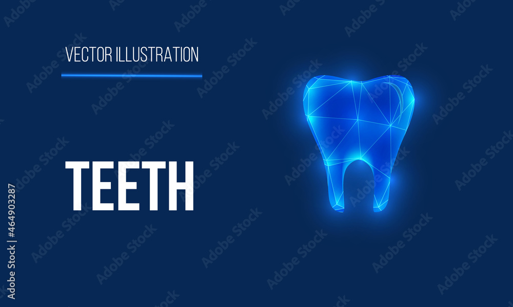 human tooth anatomy in blue human tooth anatomy in blue