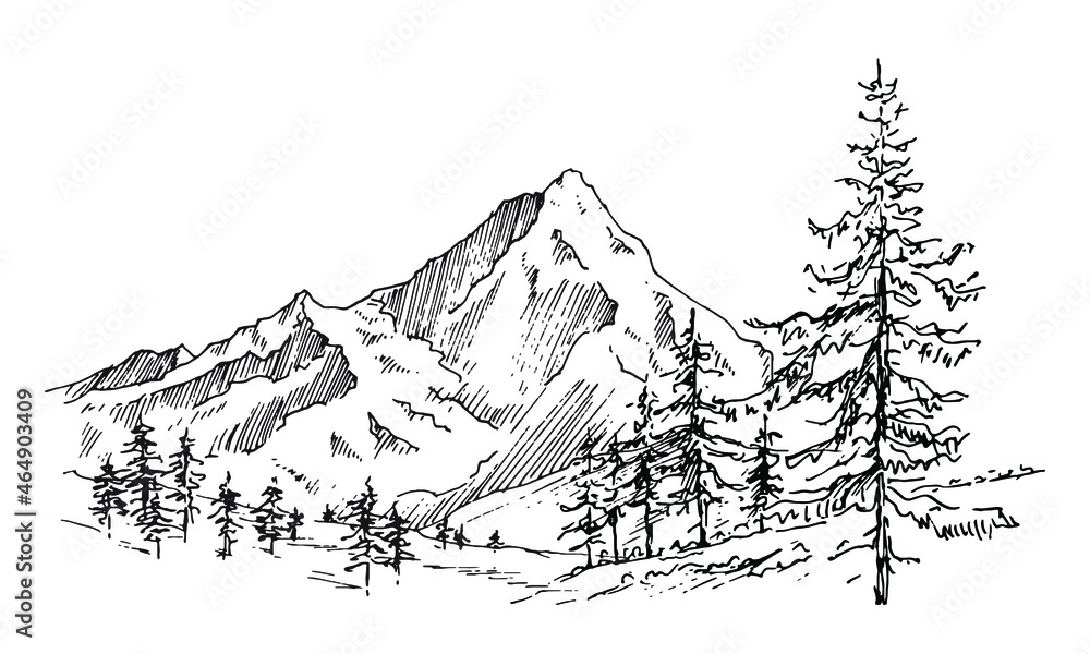 Hand drawn vector landscape with mountains, trees and mountains valley ...