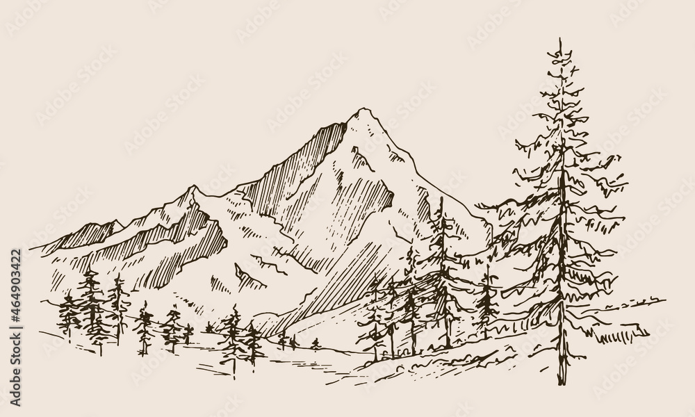 Hand drawn vector landscape with mountains, trees and mountains valley ...