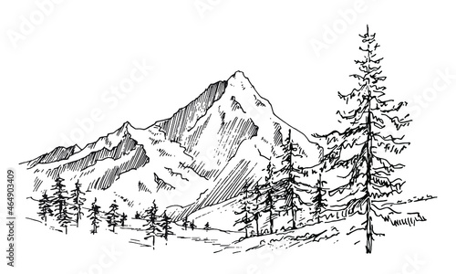 Hand drawn vector landscape with mountains, trees and mountains valley. Perfect for banner, poster and sticker design. 