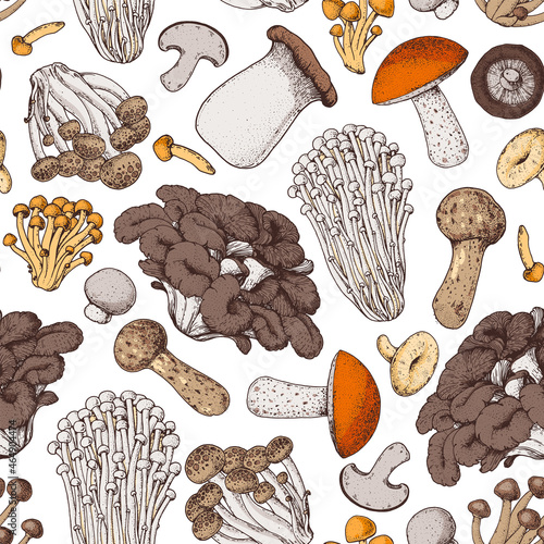 Mushrooms seamless pattern. Hand drawn. Various mushrooms hand drawn vector illustration. Food background. Forest mushrooms.
