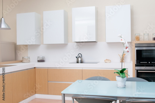 perfectly equipped modern kitchen in a ready-to-cook home 