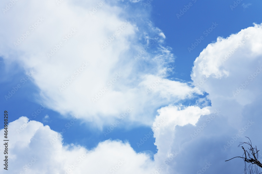 Obraz premium blue sky, clouds, nature background.