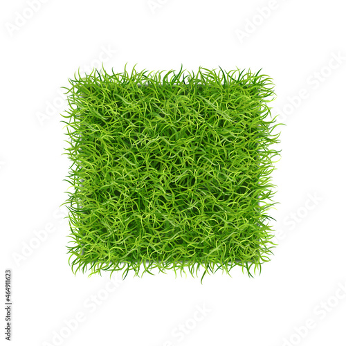Curly Grass Realistic Composition