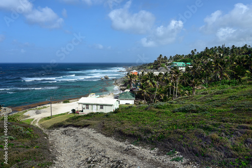 The bay of the Bathsheba  East coast of island Barbados  Caribbean Islands