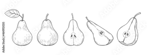 Pear set engraved vintage illustration