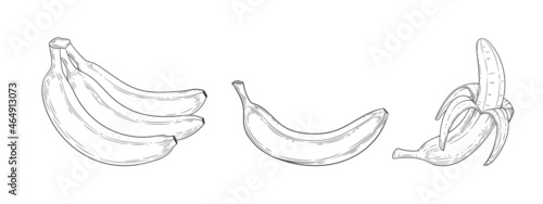 Banana set engraved sketch with vintage stile