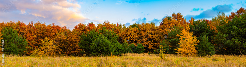 autumn panorama field, forest, sky