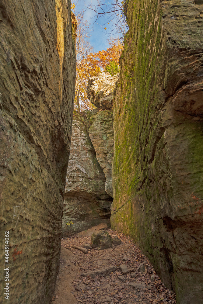 Narrow Pathway in a Sandstone Canyon