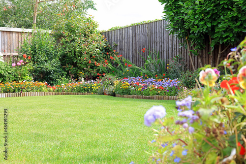 Fototapeta Naklejka Na Ścianę i Meble -  Colourful Flowers And Shrubs In A Back Garden Border With A Wooden Fence And Maintained Lawn
