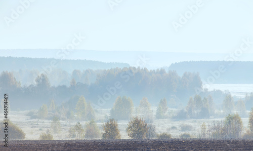 autumn landscape with yellow birches and grass in the morning frost, a plowed field in the foreground © Елена Челышева