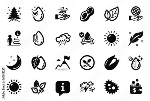 Fototapeta Naklejka Na Ścianę i Meble -  Vector Set of Nature icons related to Rainy weather, Feather and Peanut icons. Water drop, Startup and Mineral oil signs. Plants watering, Wind energy and No alcohol. Leaf, Sunny weather. Vector
