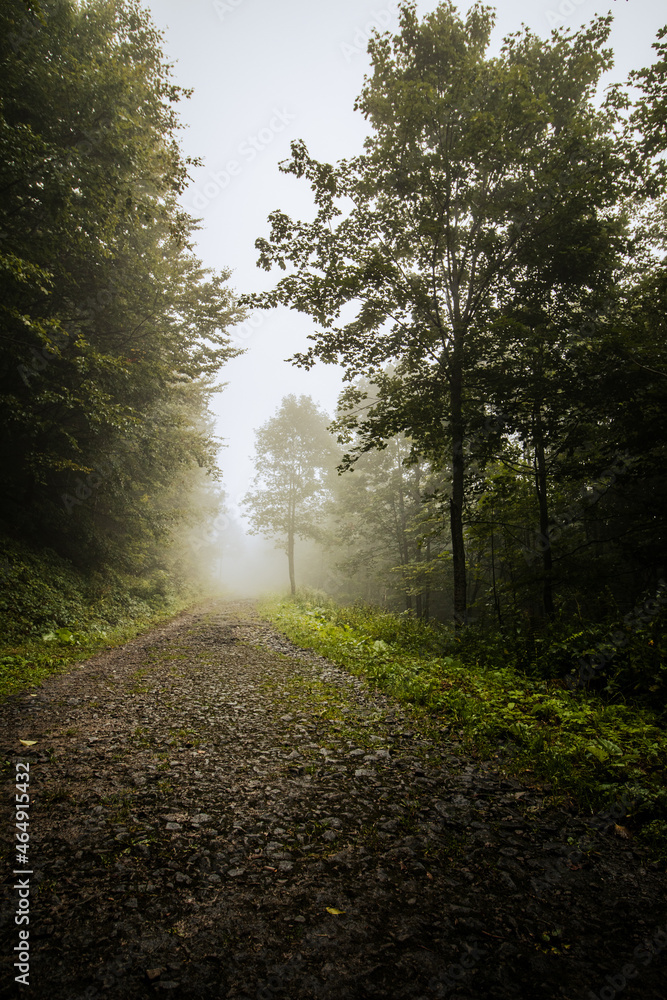 Fototapeta premium End of summer in the mountains. Bieszczady trails in the fog.