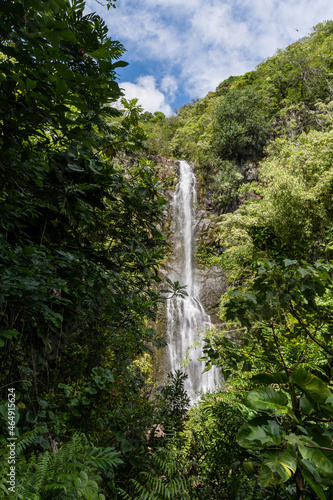 Scenic Wailua Falls vista near Hana  Maui  Hawaii