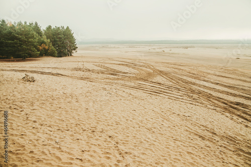 Fototapeta Naklejka Na Ścianę i Meble -  Bledow desert (pustynia bledowska) biggest sand desert in Poland