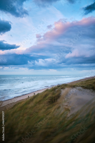 Evening light over the Dunes of Vejlby Klit in northern Denmark. 