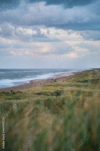 People taking a walk on the beach of Vejlby Klit in Denmark, northern Europe