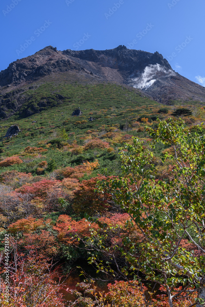 姥ヶ平から見た秋の茶臼岳 姥ヶ平から見た秋の茶臼岳