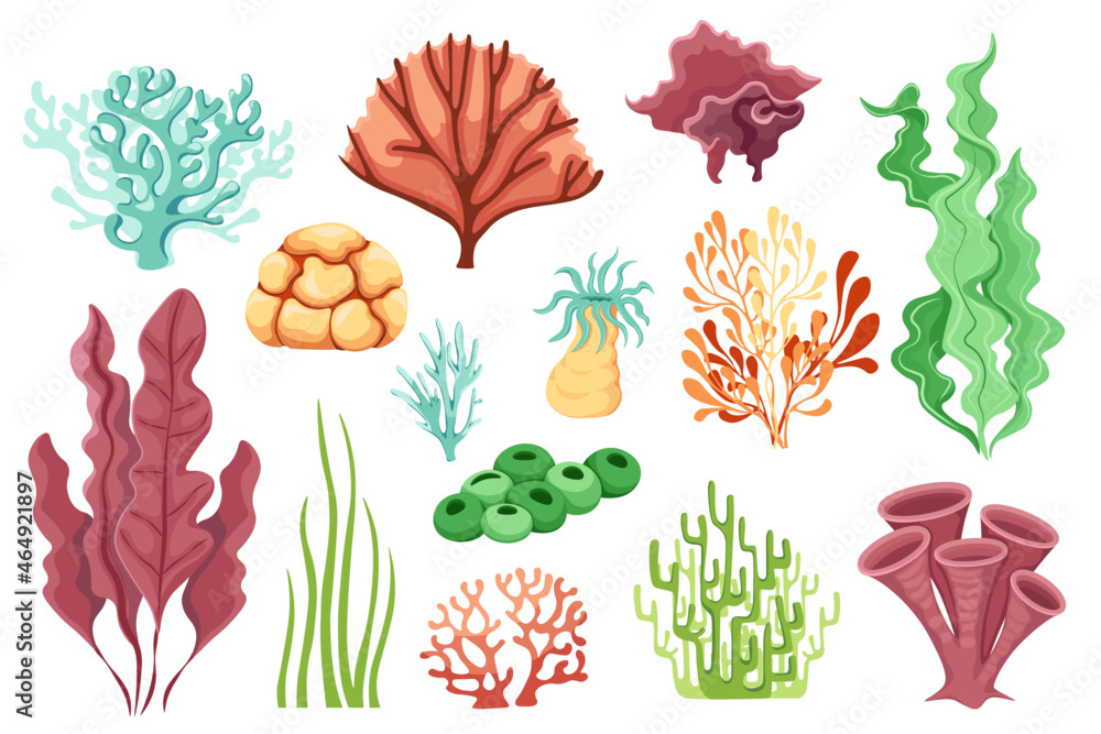 Cartoon Ocean Plants, Aquatic Life, Marine Coral Reef or Seaweeds Water