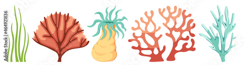 Cartoon Ocean Plants Marine Kelp, Algae, Wracks, Laminaria Seaweeds or Coral Reef Underwater Life. Aquarium Weeds
