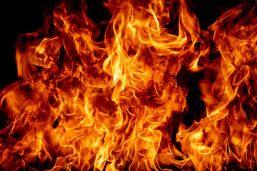 Flame fires. Burn lights on a black background. Fire flames on black background. Abstract fire flame background.
