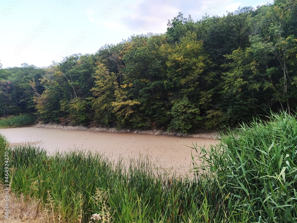 Dry lake inside the forest. Swamp in the forest. Forest landscape with swamp. Dry lake inside the forest. Swamp in the forest. Forest landscape with swamp.